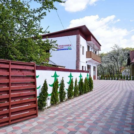Pensiunea Cristina Viseu de Sus Luaran gambar